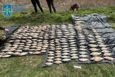 На Херсонщині мешканець незаконно виловив риби майже на мільйон гривень