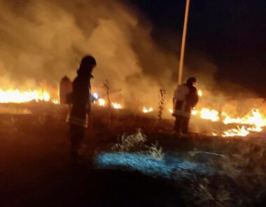 На Херсонщині виник ряд пожеж в екосистемах: що відомо (ФОТО)