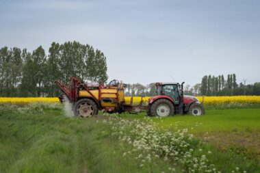 Оформить господдержку можно даже на трех коров: какую помощь могут получить аграрии Херсонщины