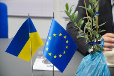 На Херсонщине появятся оливковые рощи