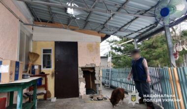 Что делать в первые минуты после обстрелов: инфографика