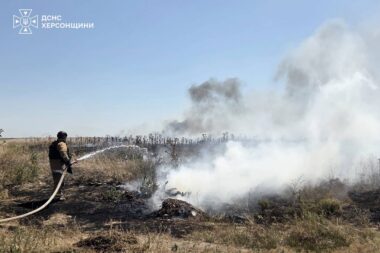 На Херсонщині за добу вигоріло понад 8 гектарів екосистем